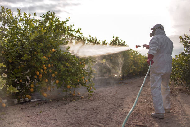 Best Mosquito Control Services  in Whitewater, WI
