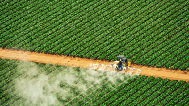 Pest Control Cost in Whitewater, WI
