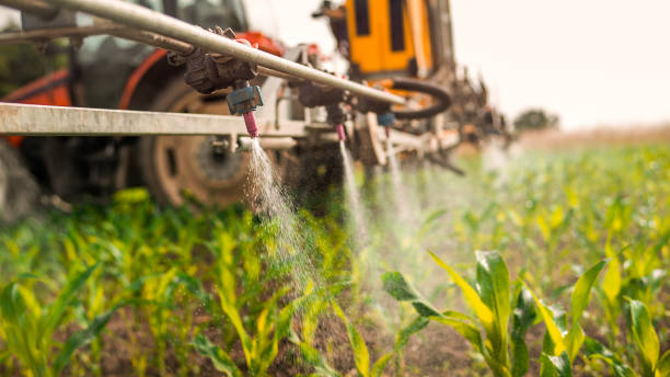 Best Best Pest Control Companies  in Whitewater, WI