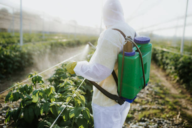 Best Pest Prevention Services  in Whitewater, WI